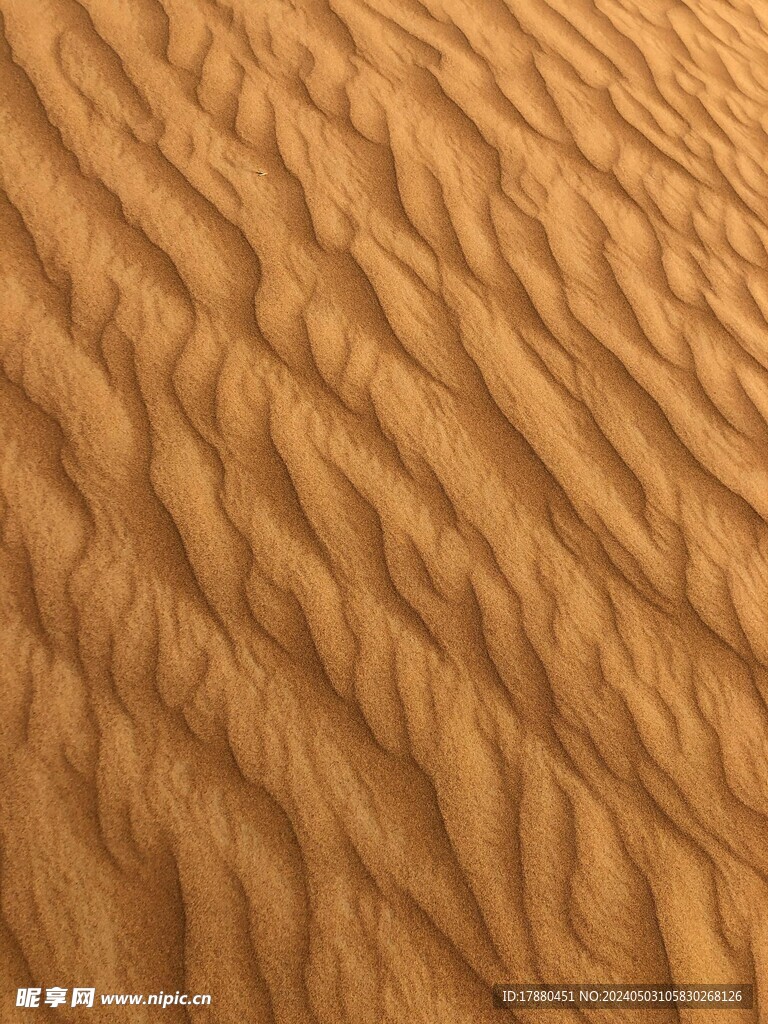 沙漠