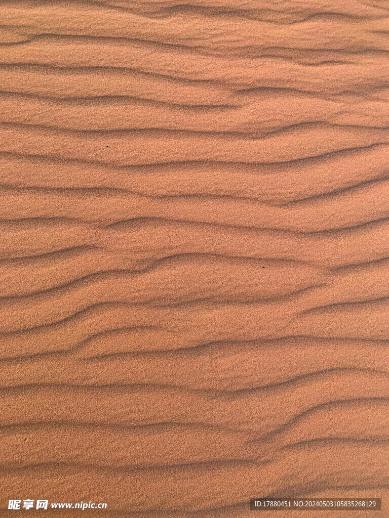 沙漠
