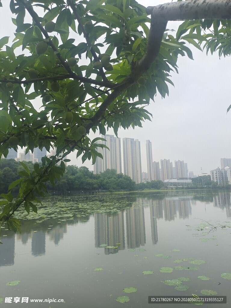 湖边风景