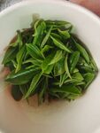 绿茶