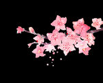 中国传统古风         