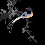 中国传统古风         