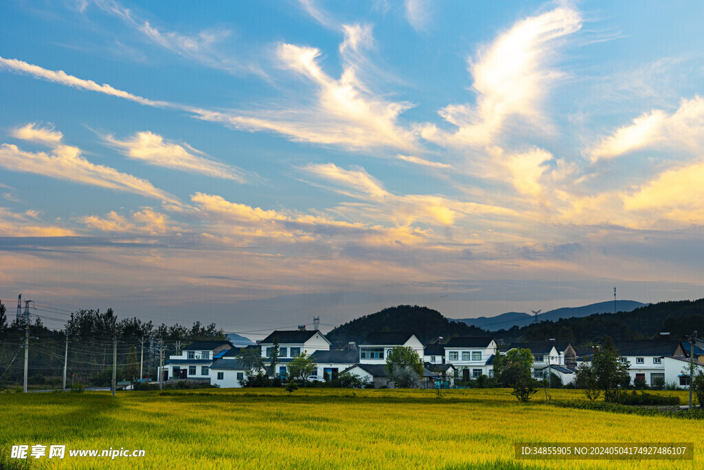 田野风光