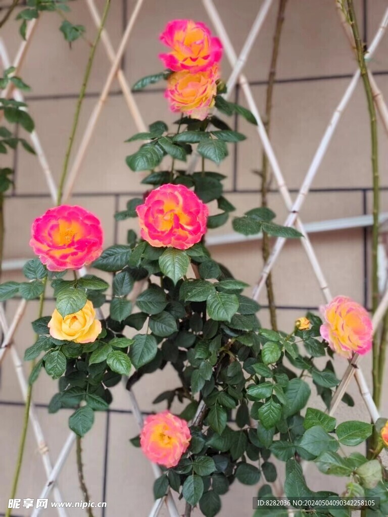 花墙