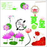 荷花素材