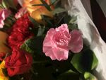 花艺花束鲜花 