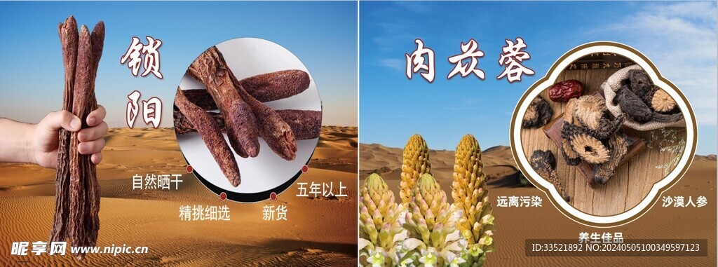 锁阳肉苁蓉