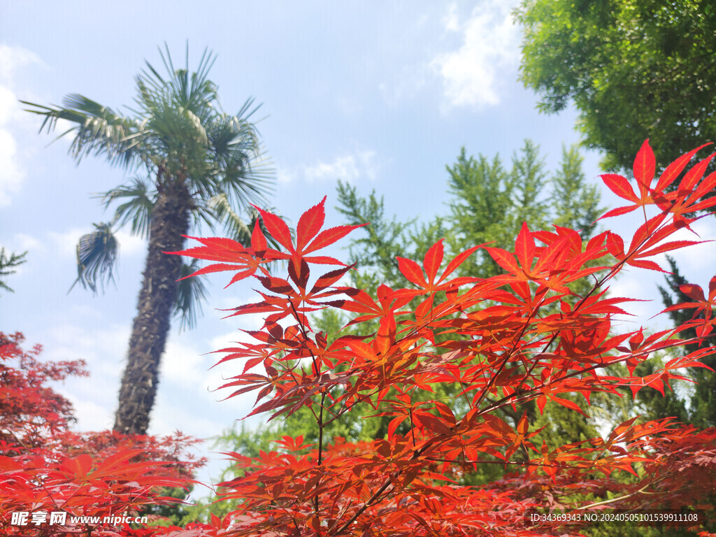 植物园