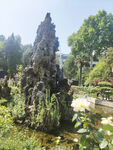 植物园