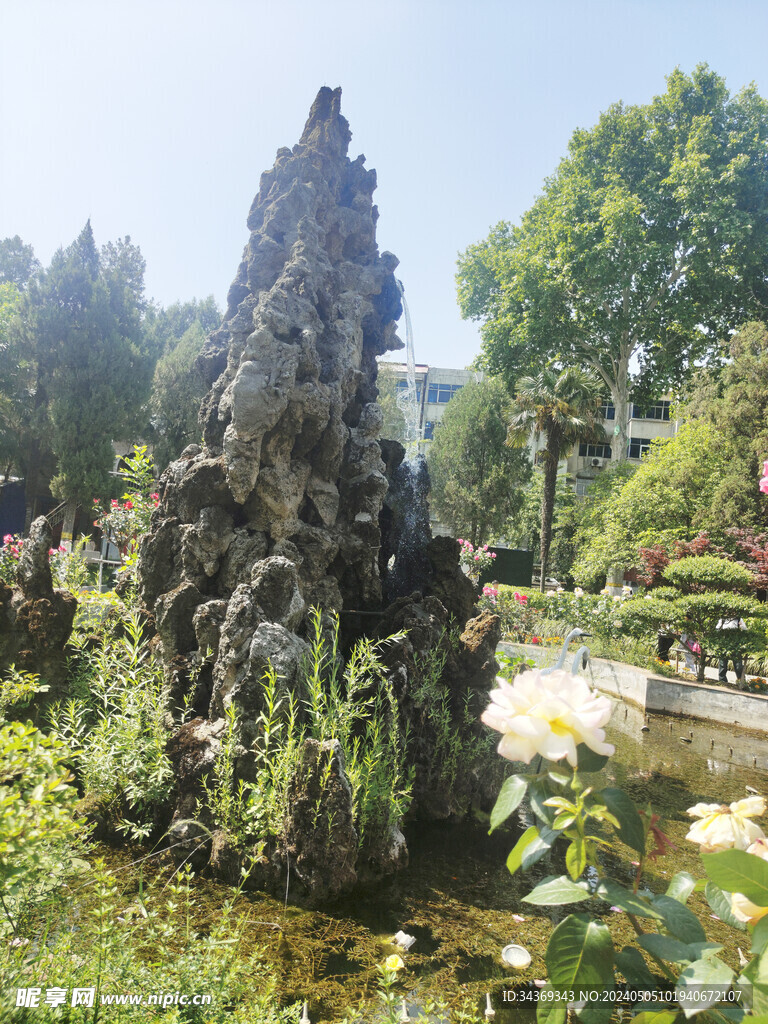 植物园