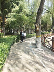 植物园