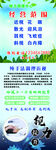视力展架