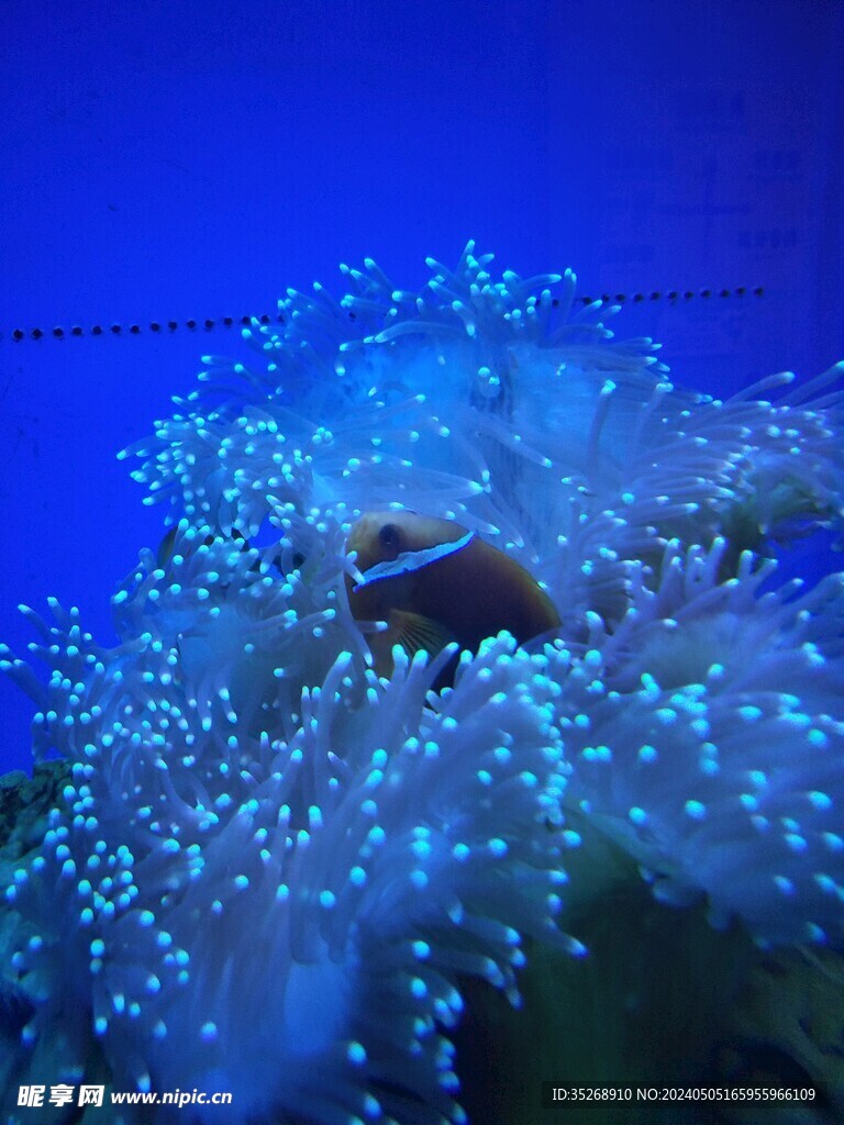 水族馆图片