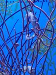 水族馆图片