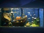 水族馆图片