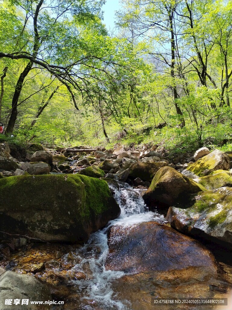 登山留影