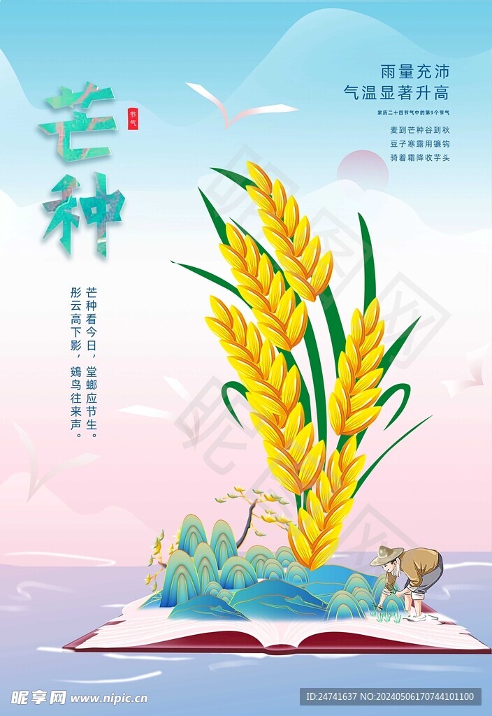 芒种海报