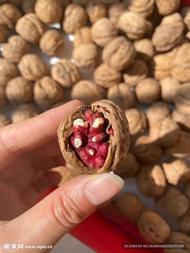 核桃