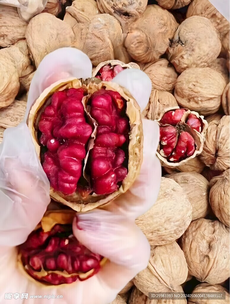 核桃