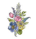 手绘花