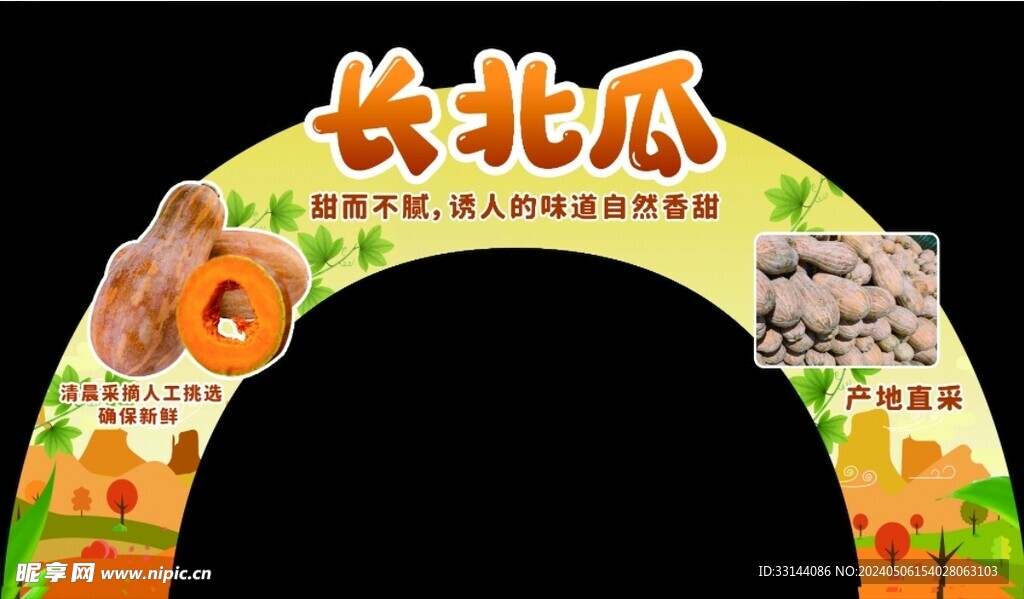 长北瓜
