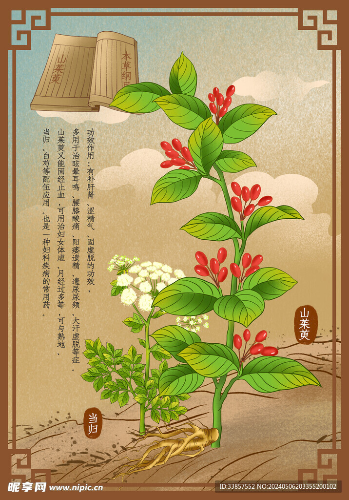 中药材            