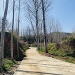 乡间小路
