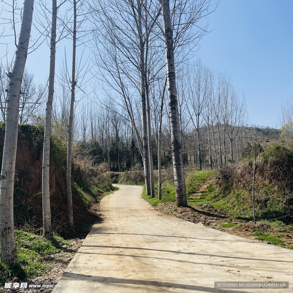 乡间小路