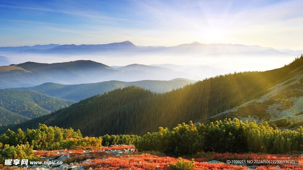 青山绿水
