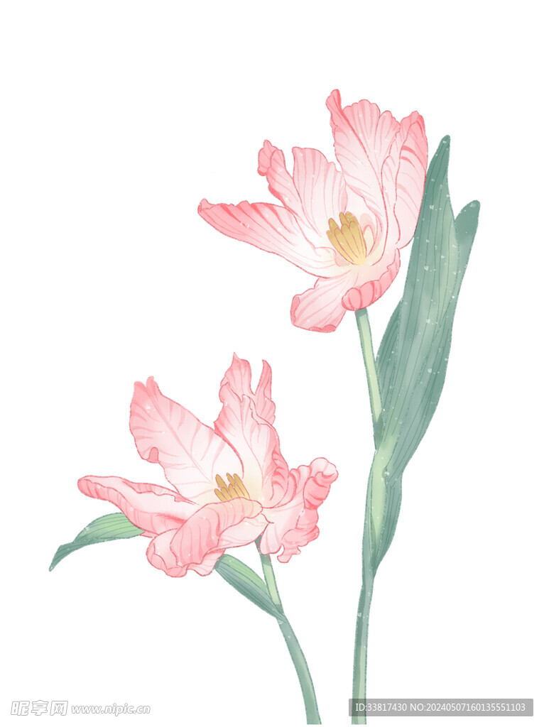 粉色花束手绘插图插画