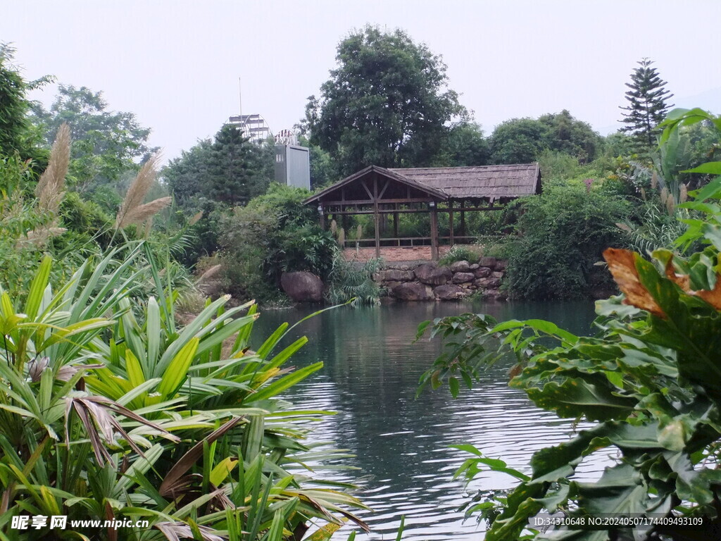 公园湖泊庭园风景大自然