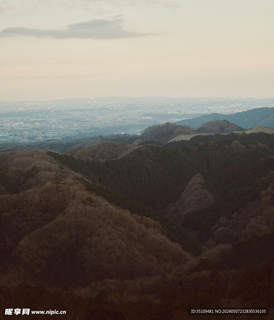 山顶风光