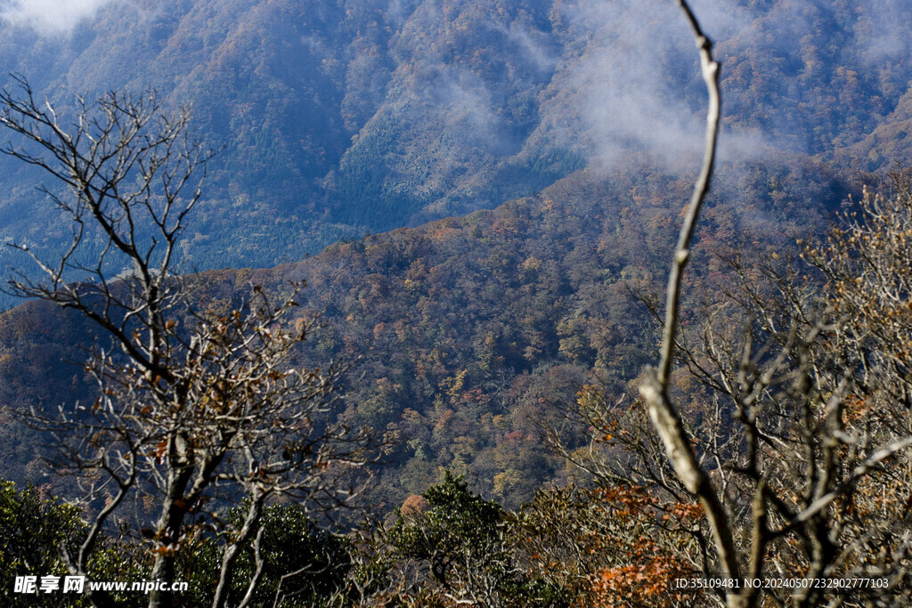 山顶风光