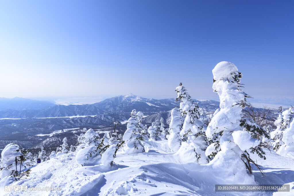 山顶风光