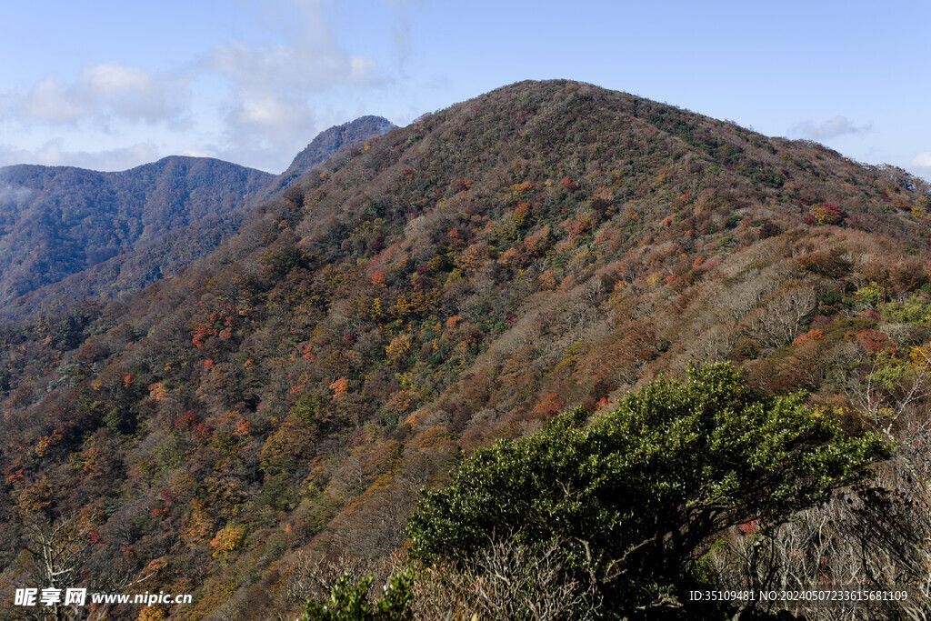 山顶风光