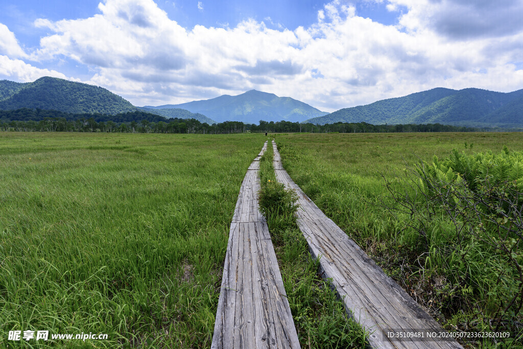 山顶风光