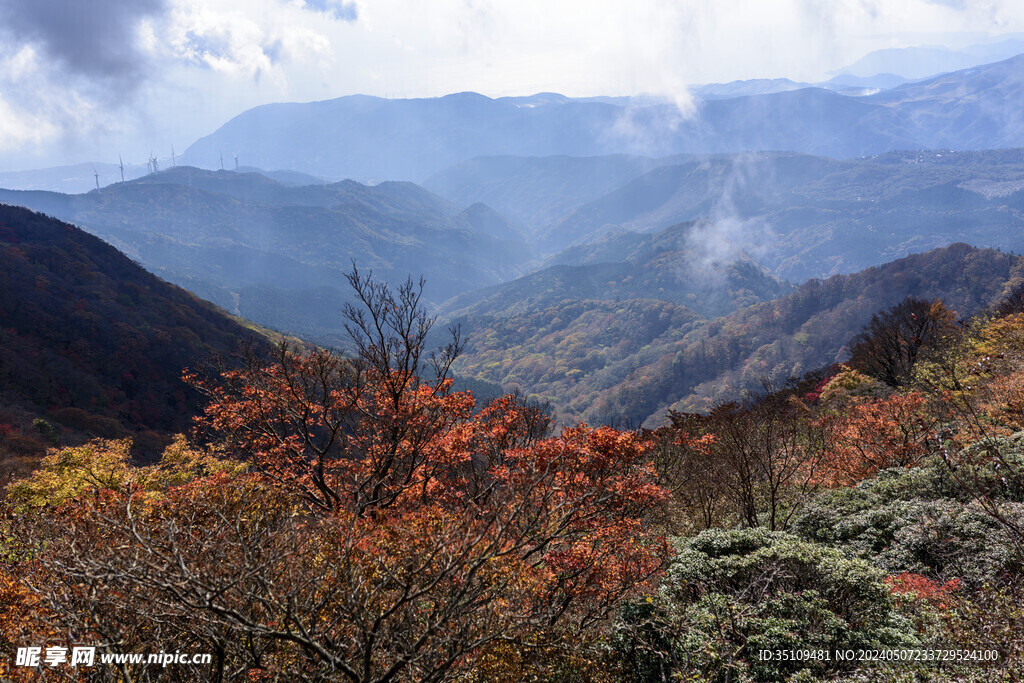 山顶风光