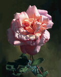花卉静物油画         
