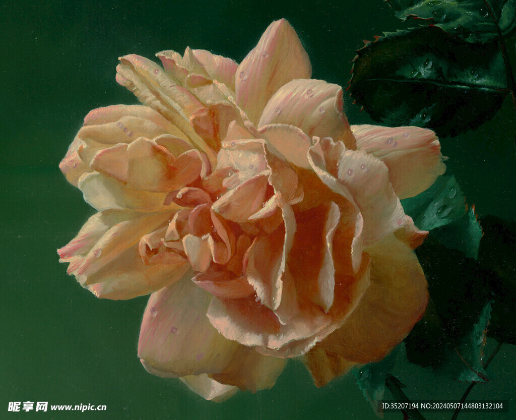 花卉静物油画         