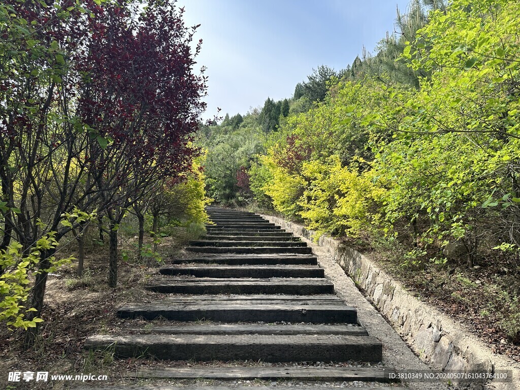 山间步道