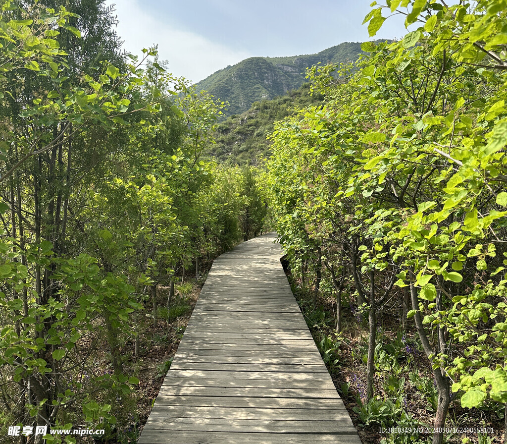 山间小路