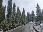 下雪后的道路