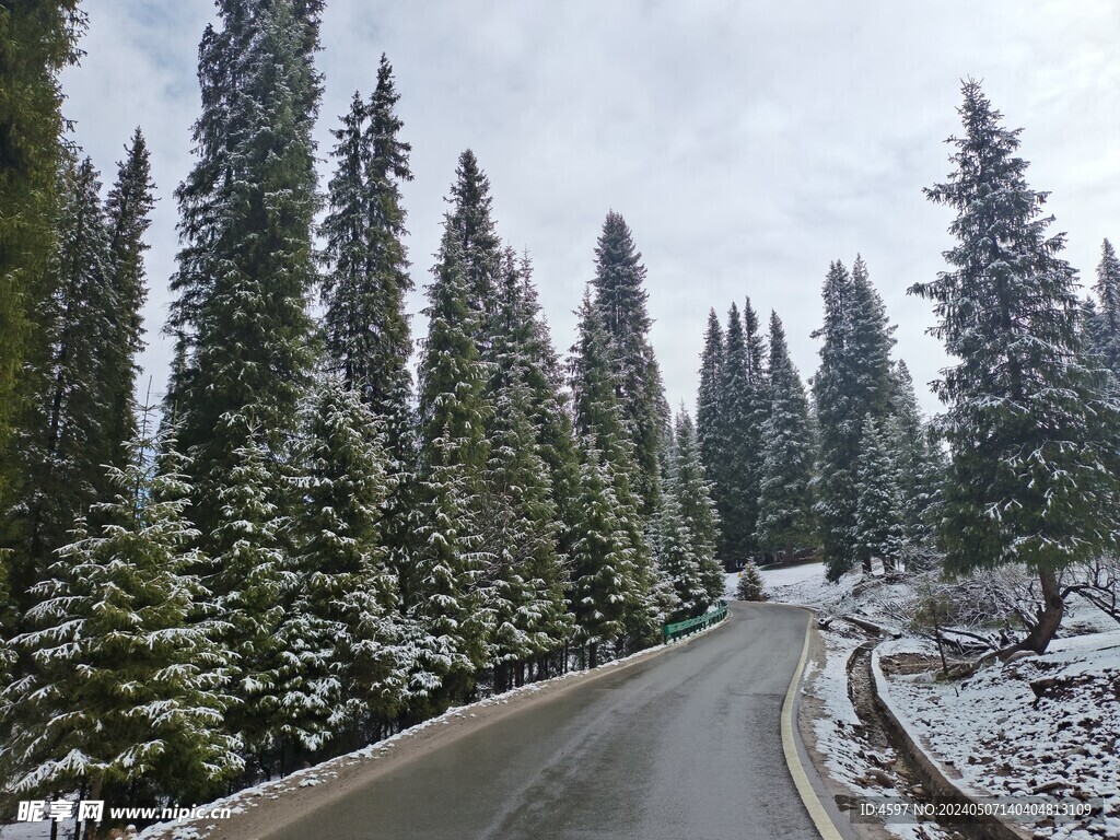 下雪后的道路