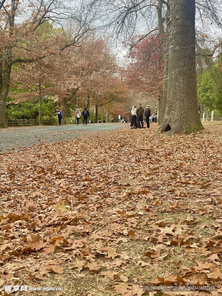 秋天
