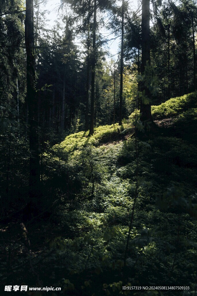 旅游风景