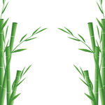 竹子素材