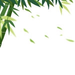 竹子素材