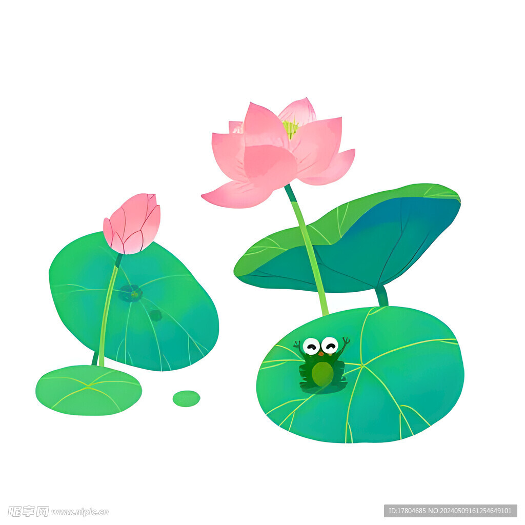 荷花素材