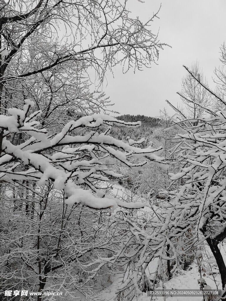 雪景