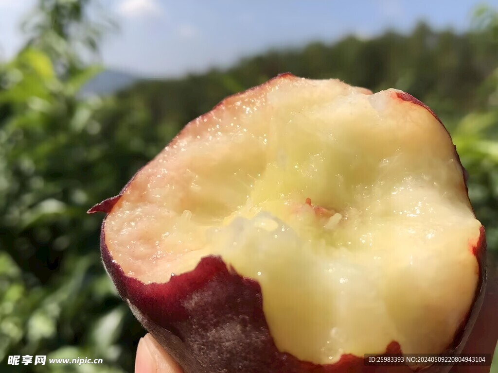 水蜜桃